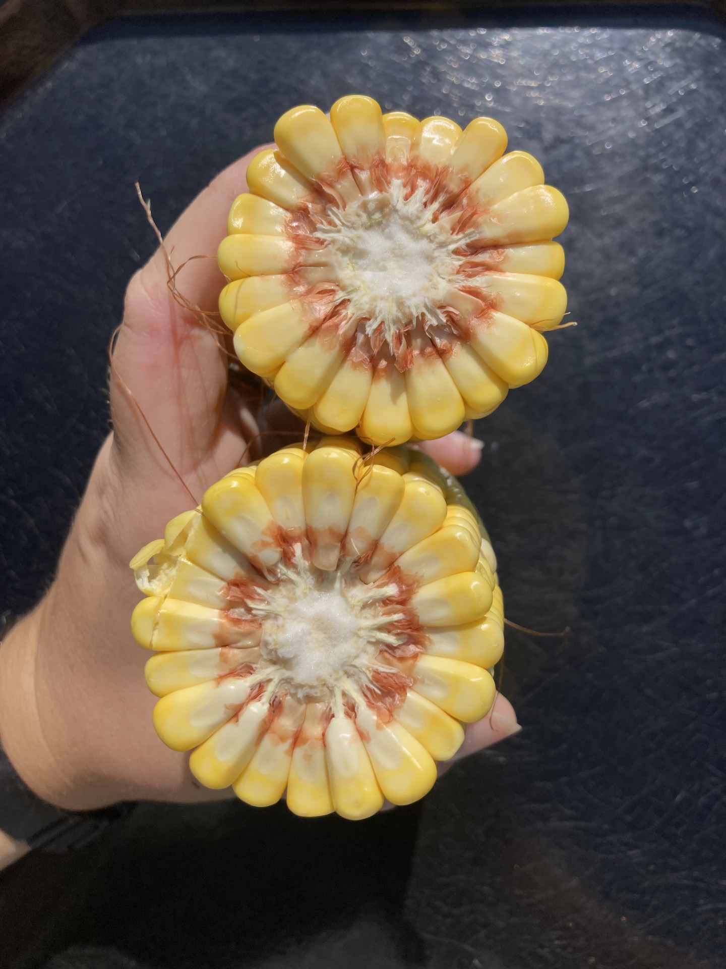 An ear of corn cut in half.